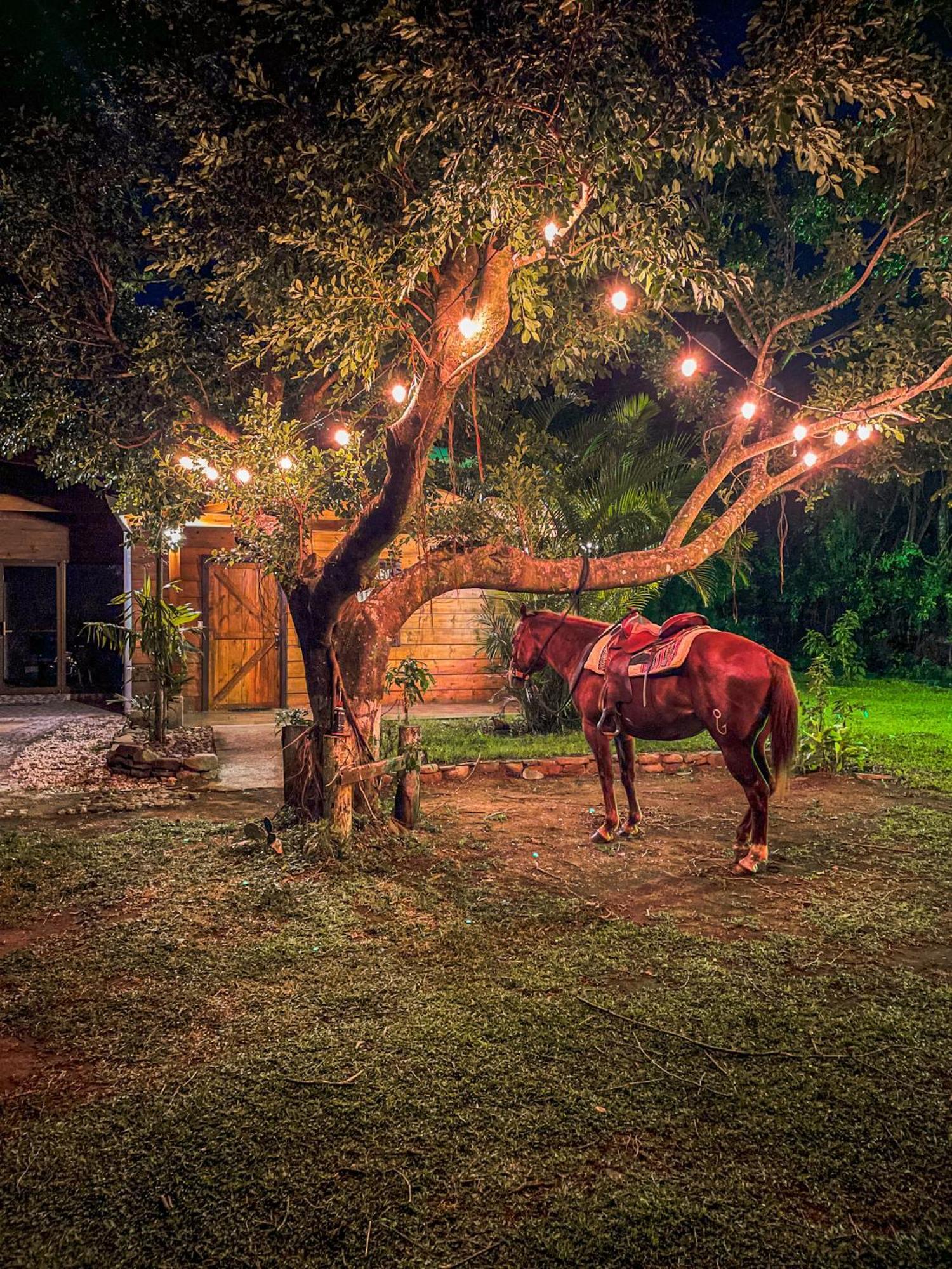 Tierra Buena Countryside Hotel Monteverde Εξωτερικό φωτογραφία